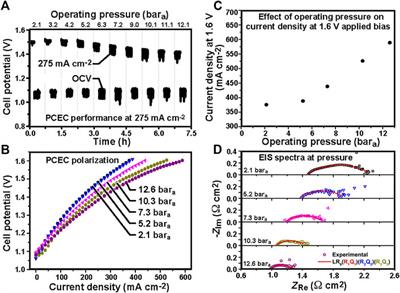 Proton-conducting ceramics for water electrolysis and hydrogen production at elevated pressure